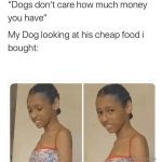 A skeptical dog questioning cheap food purchase.