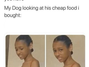 A skeptical dog questioning cheap food purchase.