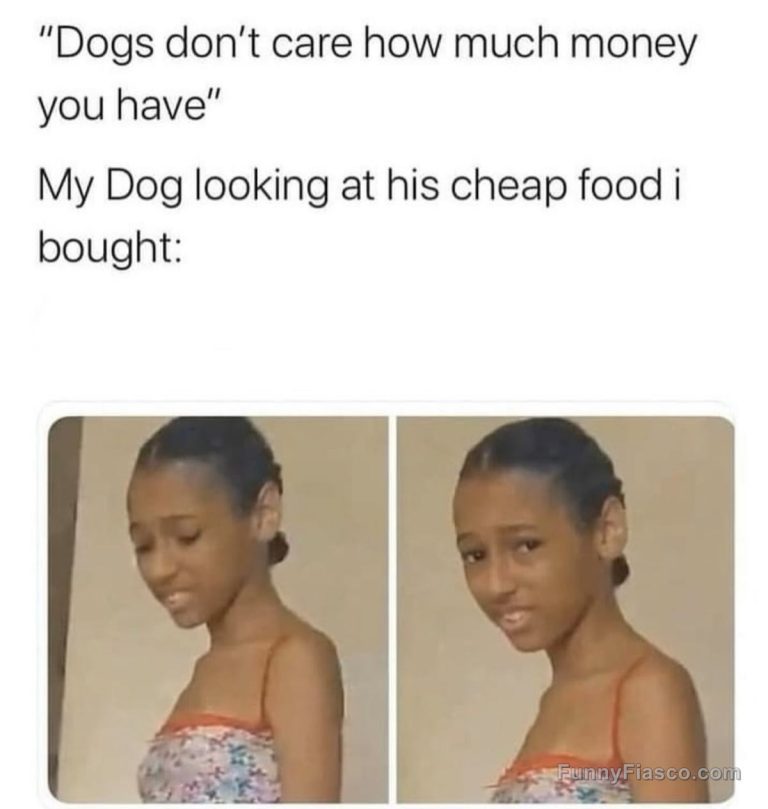 A skeptical dog questioning cheap food purchase.
