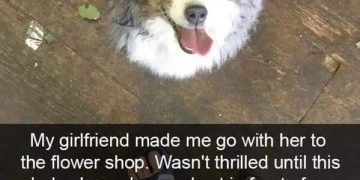 Cute dog looking up at a person in a flower shop.