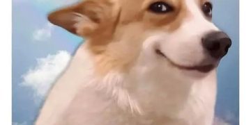 Happy dog smiling with text: "me when the plans include food."