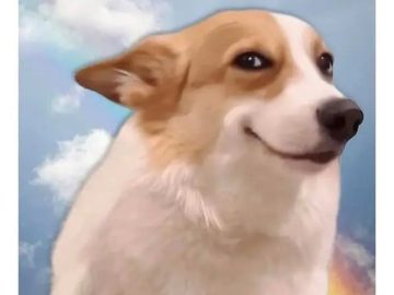 Happy dog smiling with text: "me when the plans include food."