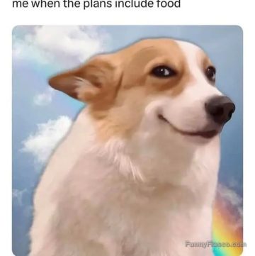 Happy dog smiling with text: "me when the plans include food."