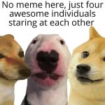 Four adorable dogs having an epic staring contest