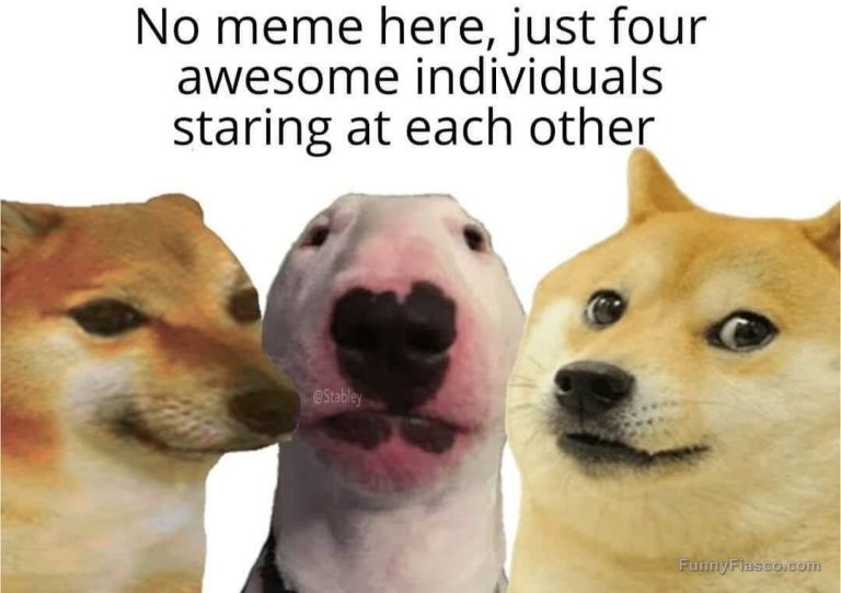 Four adorable dogs having an epic staring contest