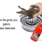 A funny meme of an alligator being juiced, captioned "When life gives you gators, make Gatorade."