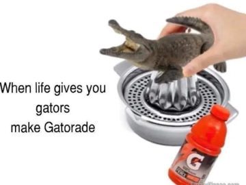 A funny meme of an alligator being juiced, captioned "When life gives you gators, make Gatorade."