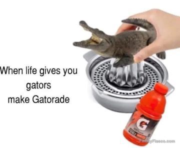 A funny meme of an alligator being juiced, captioned "When life gives you gators, make Gatorade."