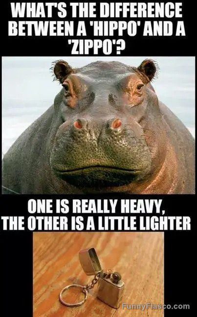 A humorous meme comparing a hippo and a Zippo lighter.