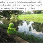 Kermit sitting by a pond, reflecting on an overreaction.