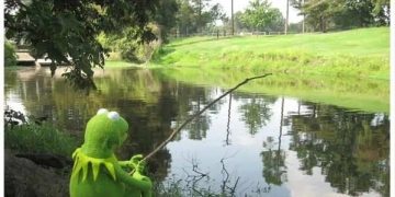 Kermit sitting by a pond, reflecting on an overreaction.