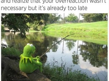 Kermit sitting by a pond, reflecting on an overreaction.