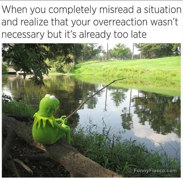 Kermit sitting by a pond, reflecting on an overreaction.