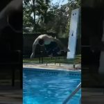 Thumbnail for a funny YouTube Short featuring a chaotic and relatable comedy moment.