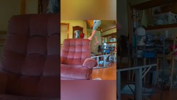 Thumbnail for Relatable Fails That Go Wrong So Fast, a funny short video featuring quick fail moments and instant regret.