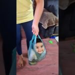 Funny YouTube Shorts thumbnail showing a quick comedic moment from a short viral video