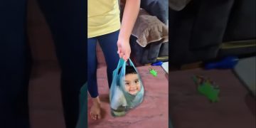Funny YouTube Shorts thumbnail showing a quick comedic moment from a short viral video