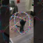 Funny YouTube Shorts thumbnail featuring a perfectly timed comedic moment with a hilarious reaction