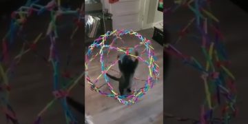 Funny YouTube Shorts thumbnail featuring a perfectly timed comedic moment with a hilarious reaction