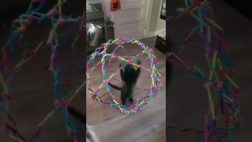 Funny YouTube Shorts thumbnail featuring a perfectly timed comedic moment with a hilarious reaction