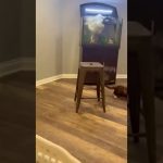 Funny video thumbnail showing an unexpected fail happening suddenly out of nowhere