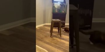 Funny video thumbnail showing an unexpected fail happening suddenly out of nowhere