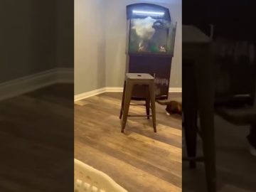 Funny video thumbnail showing an unexpected fail happening suddenly out of nowhere