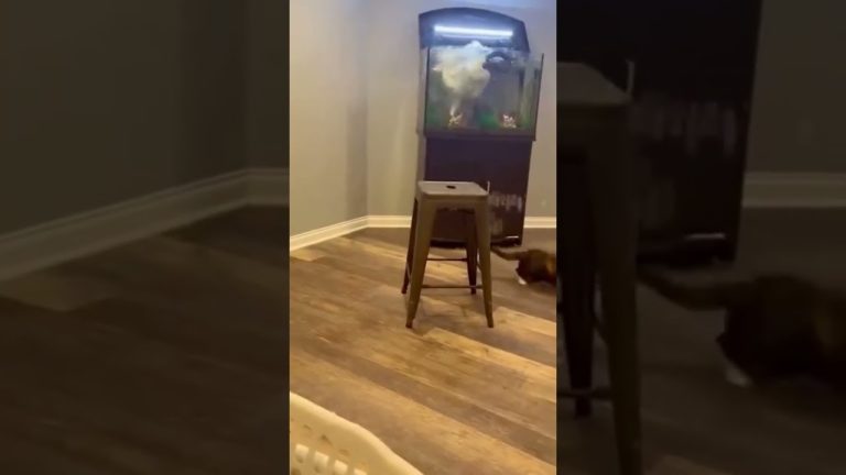 Funny video thumbnail showing an unexpected fail happening suddenly out of nowhere