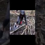 Funny video thumbnail showing a moment quickly turning into a fail that escalates fast