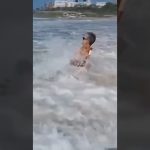 Thumbnail for the funny YouTube Shorts video Unexpected Fails That Collapse Instantly featuring a confident moment that quickly turns into a fail.