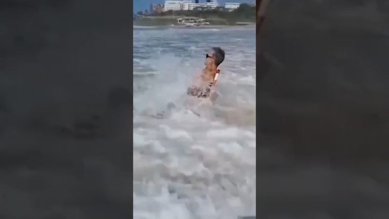 Thumbnail for the funny YouTube Shorts video Unexpected Fails That Collapse Instantly featuring a confident moment that quickly turns into a fail.