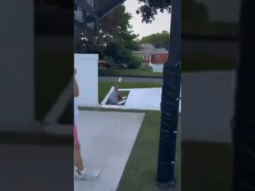 Thumbnail for When Confidence Loses to Gravity and Timing showing a confidence-fueled fail moment from a funny short video.