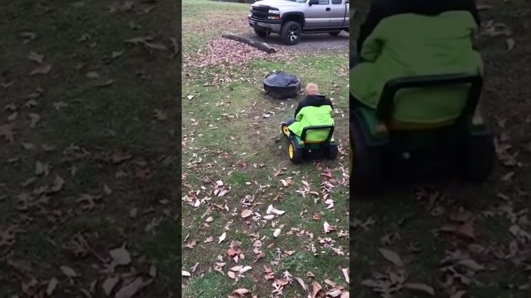 Funny YouTube Shorts moment showing a calm situation quickly turning into unexpected chaos.