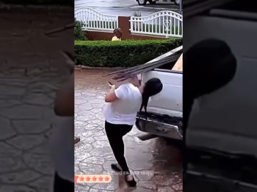 Funny YouTube Shorts moment showing an unexpected perfectly timed situation turning into a quick laugh.