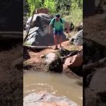 Funny YouTube Shorts moment showing a simple plan quickly turning into an unexpected and hilarious fail.
