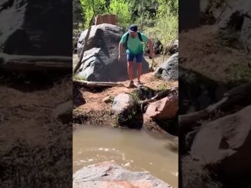 Funny YouTube Shorts moment showing a simple plan quickly turning into an unexpected and hilarious fail.