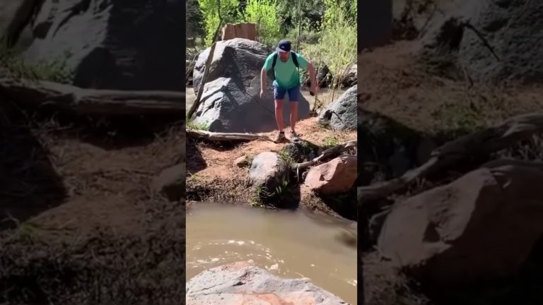 Funny YouTube Shorts moment showing a simple plan quickly turning into an unexpected and hilarious fail.
