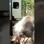 Funny YouTube Shorts thumbnail showing a perfectly timed comedy moment