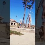 A woman attempting a handstand on a beach wall loses balance and falls into the sand.