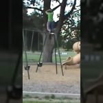 A cyclist crashes on a city street in a funny fail compilation with water wipeouts and sudden falls.