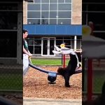 Scooter rider flipping through the air during a skatepark trick fail