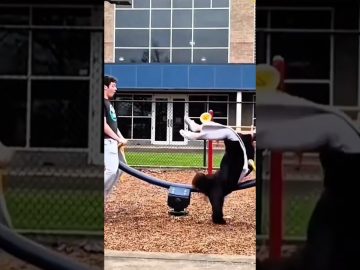 Scooter rider flipping through the air during a skatepark trick fail