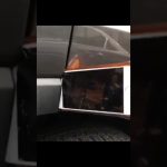 Funny pug featured in a quick YouTube Shorts comedy moment.
