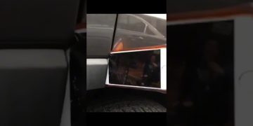 Funny pug featured in a quick YouTube Shorts comedy moment.