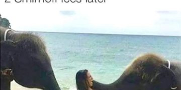 Woman surprised by playful elephants on the beach, party vibes