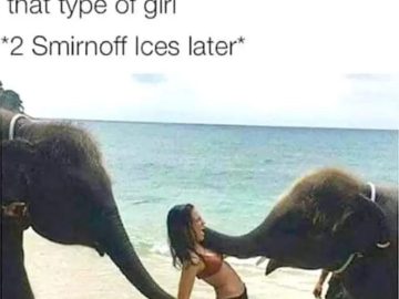 Woman surprised by playful elephants on the beach, party vibes