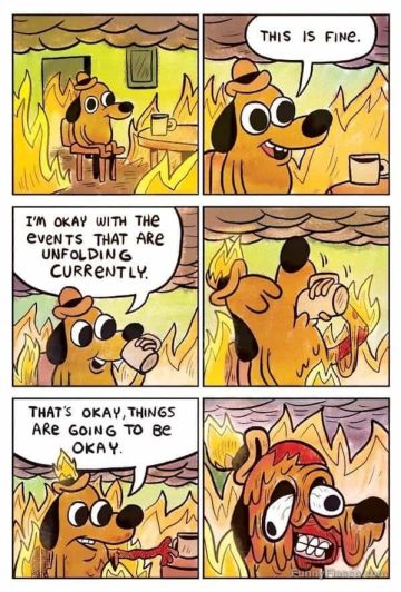 Cartoon dog calmly sitting in a burning room saying "This is fine."