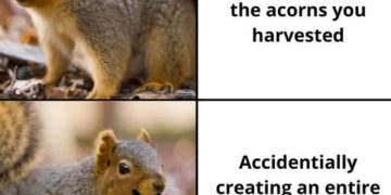 Squirrel happily realizing forgotten acorns turned into trees.