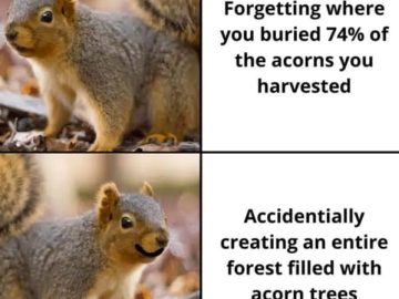 Squirrel happily realizing forgotten acorns turned into trees.