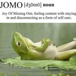 Frog lounging on a leaf embodying JOMO: Joy of Missing Out.